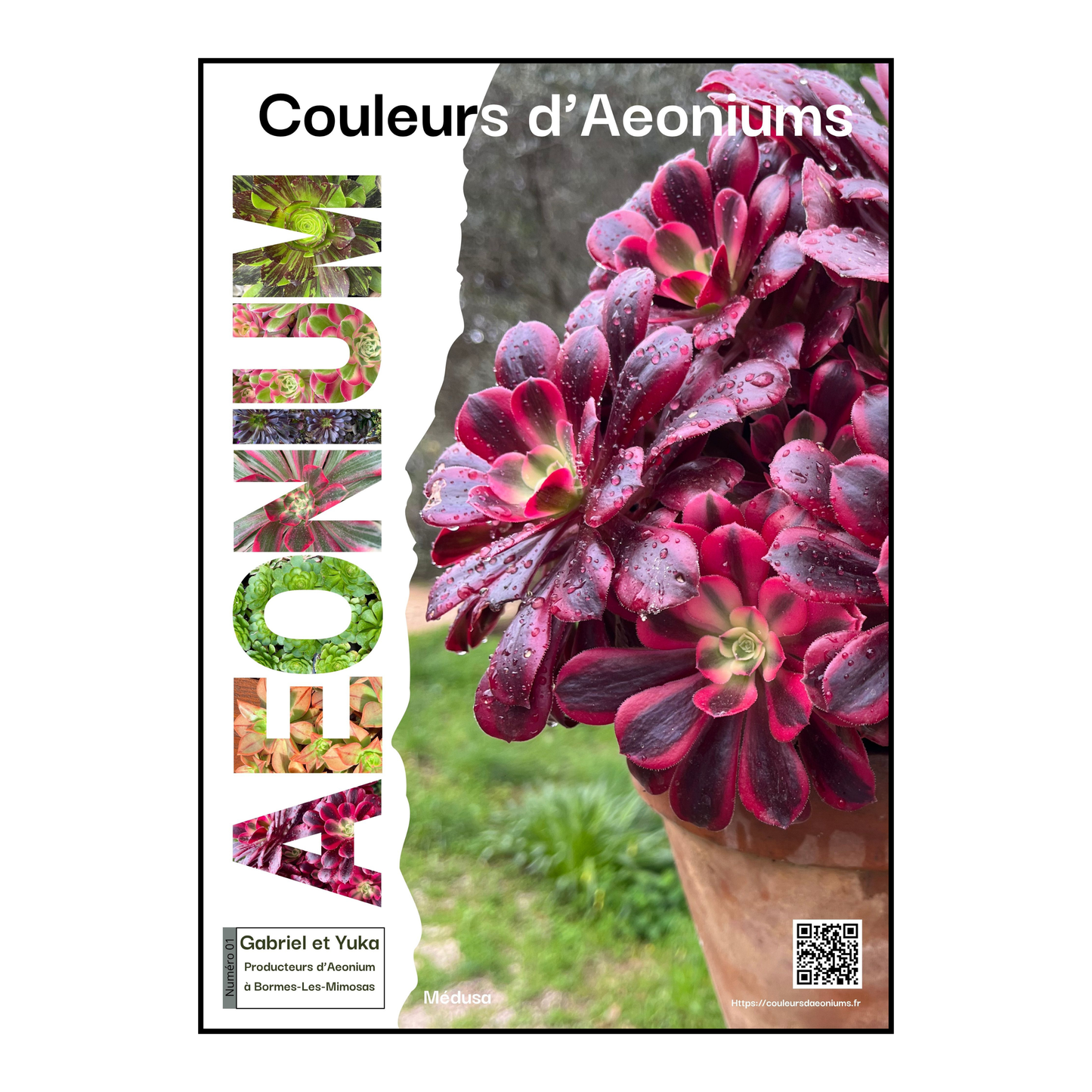 Magazine numéro 01