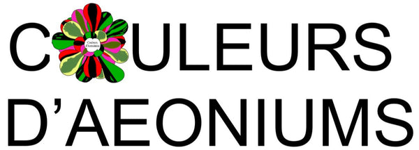 COULEURS D'AEONIUMS